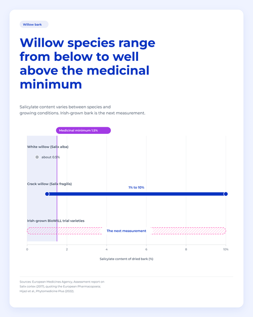The European standard sets a 1.5% minimum for medicinal willow bark and 5% for its dry extract. Salicortin was found in 7 of 8 BioWILL trial varieties.
